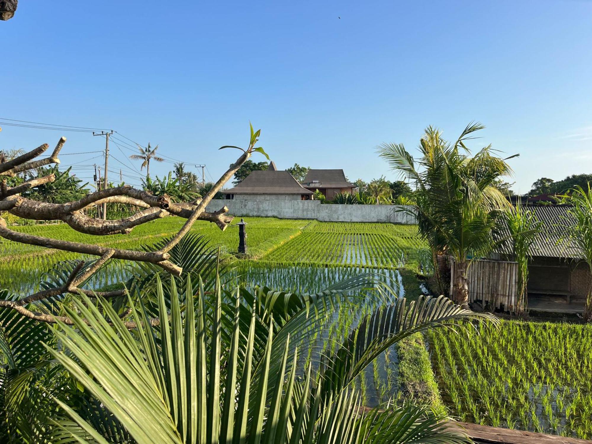 Unit Space Village Canggu Kültér fotó